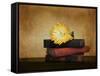 The Classics-Jai Johnson-Framed Stretched Canvas