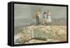 The Cliffs, 1883 (W/C on Paper)-Winslow Homer-Framed Stretched Canvas