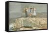 The Cliffs, 1883 (W/C on Paper)-Winslow Homer-Framed Stretched Canvas