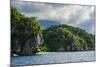 The Cliffs around Puerto Princessa Underground River, Palawan, Philippines-Michael Runkel-Mounted Photographic Print
