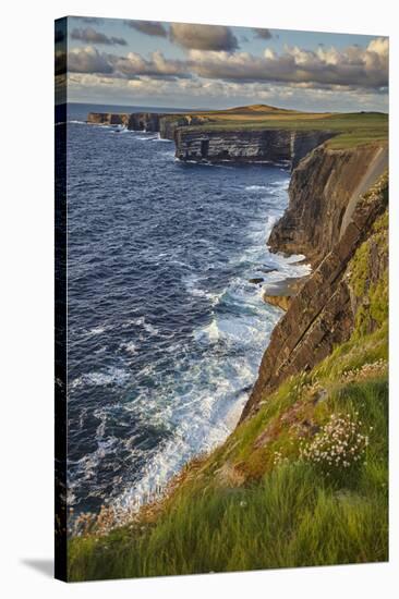 The cliffs at Loop Head, near Kilkee, County Clare, Munster, Republic of Ireland, Europe-Nigel Hicks-Stretched Canvas