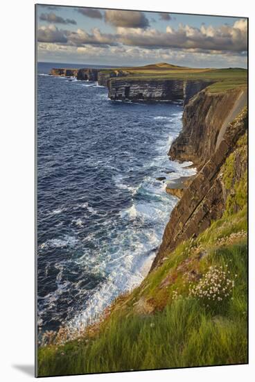 The cliffs at Loop Head, near Kilkee, County Clare, Munster, Republic of Ireland, Europe-Nigel Hicks-Mounted Photographic Print
