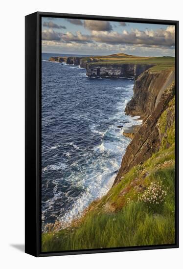 The cliffs at Loop Head, near Kilkee, County Clare, Munster, Republic of Ireland, Europe-Nigel Hicks-Framed Stretched Canvas