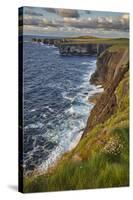 The cliffs at Loop Head, near Kilkee, County Clare, Munster, Republic of Ireland, Europe-Nigel Hicks-Stretched Canvas