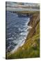 The cliffs at Loop Head, near Kilkee, County Clare, Munster, Republic of Ireland, Europe-Nigel Hicks-Stretched Canvas