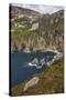 The cliffs at Slieve League, near Killybegs, County Donegal, Ulster, Republic of Ireland, Europe-Nigel Hicks-Stretched Canvas