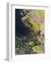 The cliffs of Hoy island, Orkney islands, Scotland.-Martin Zwick-Framed Photographic Print