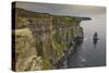 The Cliffs of Moher, near Lahinch, County Clare, Munster, Republic of Ireland, Europe-Nigel Hicks-Stretched Canvas