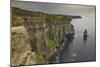 The Cliffs of Moher, near Lahinch, County Clare, Munster, Republic of Ireland, Europe-Nigel Hicks-Mounted Photographic Print