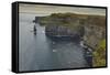 The Cliffs of Moher, near Lahinch, County Clare, Munster, Republic of Ireland, Europe-Nigel Hicks-Framed Stretched Canvas