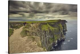 The Cliffs of Moher, near Lahinch, County Clare, Munster, Republic of Ireland, Europe-Nigel Hicks-Stretched Canvas