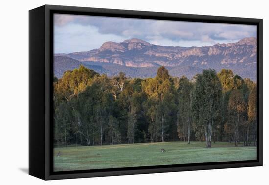 The Cliffs of the Grampians National Park at Sunset, Victoria, Australia, Pacific-Michael Runkel-Framed Stretched Canvas