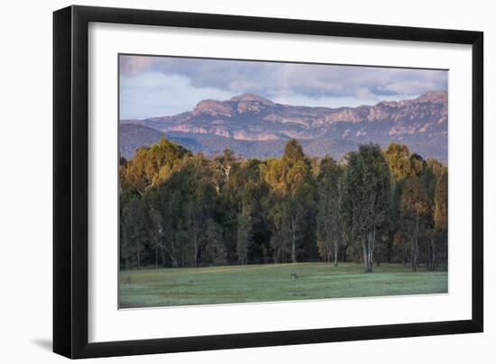 The Cliffs of the Grampians National Park at Sunset, Victoria, Australia, Pacific-Michael Runkel-Framed Photographic Print