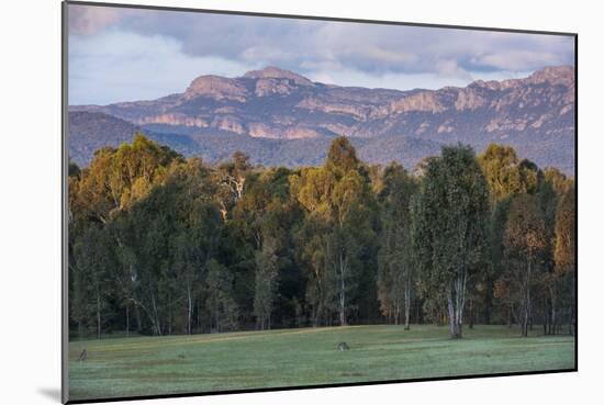 The Cliffs of the Grampians National Park at Sunset, Victoria, Australia, Pacific-Michael Runkel-Mounted Photographic Print