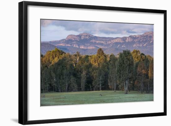 The Cliffs of the Grampians National Park at Sunset, Victoria, Australia, Pacific-Michael Runkel-Framed Photographic Print