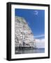 The Cliffs of the Isle of Noss. Shetland, Scotland, Great Britain-Martin Zwick-Framed Photographic Print