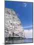 The Cliffs of the Isle of Noss. Shetland, Scotland, Great Britain-Martin Zwick-Mounted Photographic Print