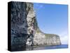 The Cliffs of the Isle of Noss. Shetland, Scotland, Great Britain-Martin Zwick-Stretched Canvas