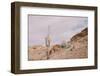 The Climb-Nathan Larson-Framed Photographic Print