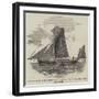 The Clipper Sailing-Barge Thames, Built for Woolwich Dockyard-null-Framed Giclee Print