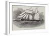 The Clipper Schooner, Marin Zagury-Edwin Weedon-Framed Giclee Print