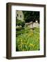 The Cloister Garden, Rothenburg Ob Der Tauber, Romantic Road, Franconia, Bavaria, Germany, Europe-Robert Harding-Framed Photographic Print