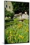 The Cloister Garden, Rothenburg Ob Der Tauber, Romantic Road, Franconia, Bavaria, Germany, Europe-Robert Harding-Mounted Photographic Print