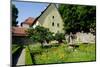 The Cloister Garden, Rothenburg Ob Der Tauber, Romantic Road, Franconia, Bavaria, Germany, Europe-Robert Harding-Mounted Photographic Print