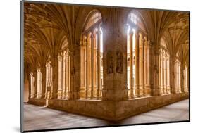 The Cloister of Convento De San Esteban in Salamanca, Castile and Leon, Spain, Europe-Julian Elliott-Mounted Photographic Print