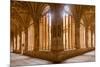 The Cloister of Convento De San Esteban in Salamanca, Castile and Leon, Spain, Europe-Julian Elliott-Mounted Photographic Print