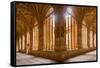 The Cloister of Convento De San Esteban in Salamanca, Castile and Leon, Spain, Europe-Julian Elliott-Framed Stretched Canvas