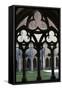 The Cloister, the Cistercian Abbey of Noirlac, Bruere-Allichamps, Cher, Centre, France, Europe-Godong-Framed Stretched Canvas