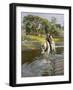 The close of a Summer's Day, 1909 (Oil on Canvas)-Harold Harvey-Framed Giclee Print