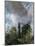 The Close, Salisbury, Wiltshire-John Constable-Mounted Giclee Print