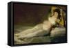 The Clothed Maja, 1800-07-Francisco de Goya-Framed Stretched Canvas