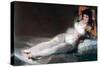 The Clothed Maja, C1800-Francisco de Goya-Stretched Canvas