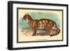 The Clouded Leopard-Sir William Jardine-Framed Premium Giclee Print