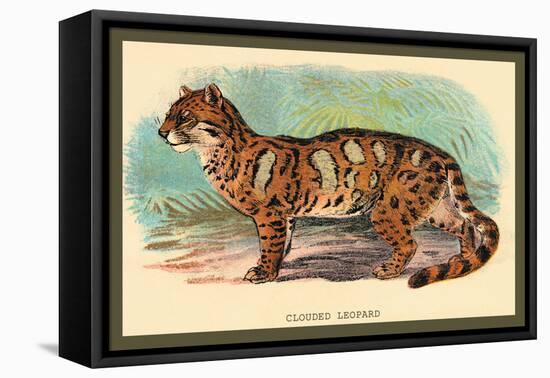 The Clouded Leopard-Sir William Jardine-Framed Stretched Canvas