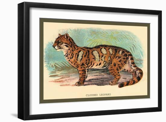 The Clouded Leopard-Sir William Jardine-Framed Art Print