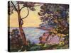 The Coast from L'Esterel, C.1902-Jean Baptiste Armand Guillaumin-Stretched Canvas