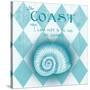 The Coast-Andi Metz-Stretched Canvas