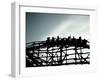 The Coaster-Sharon Wish-Framed Photographic Print