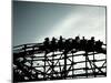 The Coaster-Sharon Wish-Mounted Photographic Print