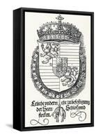 The Coat of Arms of Ferdinand I, King of Hungary and Bohemia, 1527-Albrecht Dürer-Framed Stretched Canvas