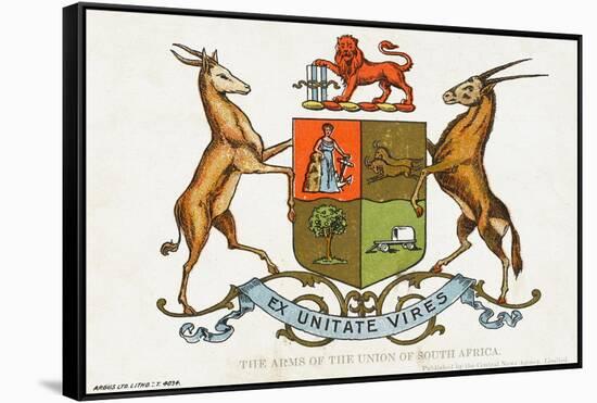 The Coat of Arms of the Union of South Africa-null-Framed Stretched Canvas