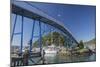 The Coathanger Bridge spanning the marina, Picton, Marlborough, South Island, New Zealand, Pacific-Ruth Tomlinson-Mounted Photographic Print