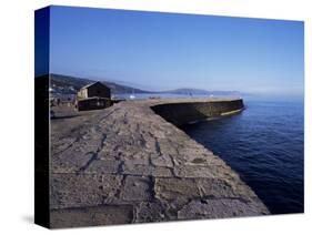 The Cobb, Lyme Regis, Dorset, England, United Kingdom-John Miller-Stretched Canvas