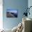 The Cobb, Lyme Regis, Dorset, England, United Kingdom-John Miller-Mounted Photographic Print displayed on a wall