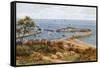 The Cobb, Lyme Regis, from Holmbush-Alfred Robert Quinton-Framed Stretched Canvas