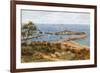 The Cobb, Lyme Regis, from Holmbush-Alfred Robert Quinton-Framed Giclee Print